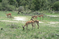 0164-Reis Zuid-Afrika2007